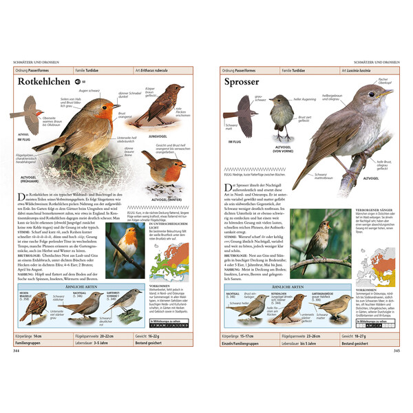 Dorling Kindersley Vögel in Europa