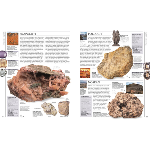 Dorling Kindersley Steiner & Mineralien