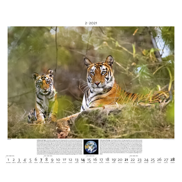 Palazzi Verlag Calendar Planet Earth 2021