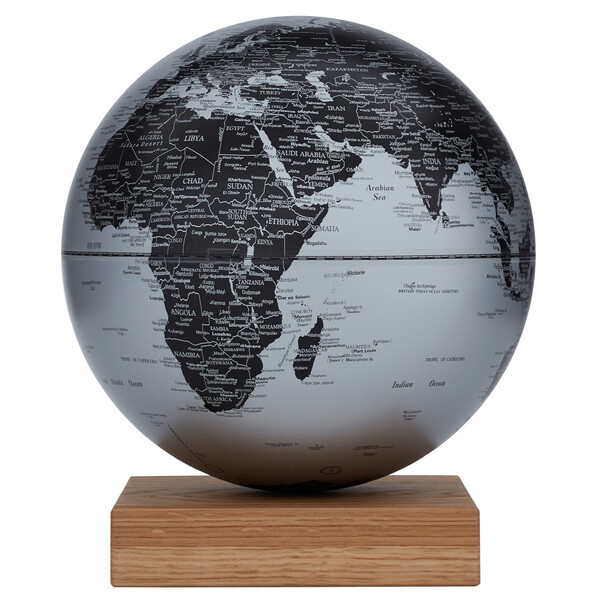 emform Globe Platon Oak Matt Silver 30cm