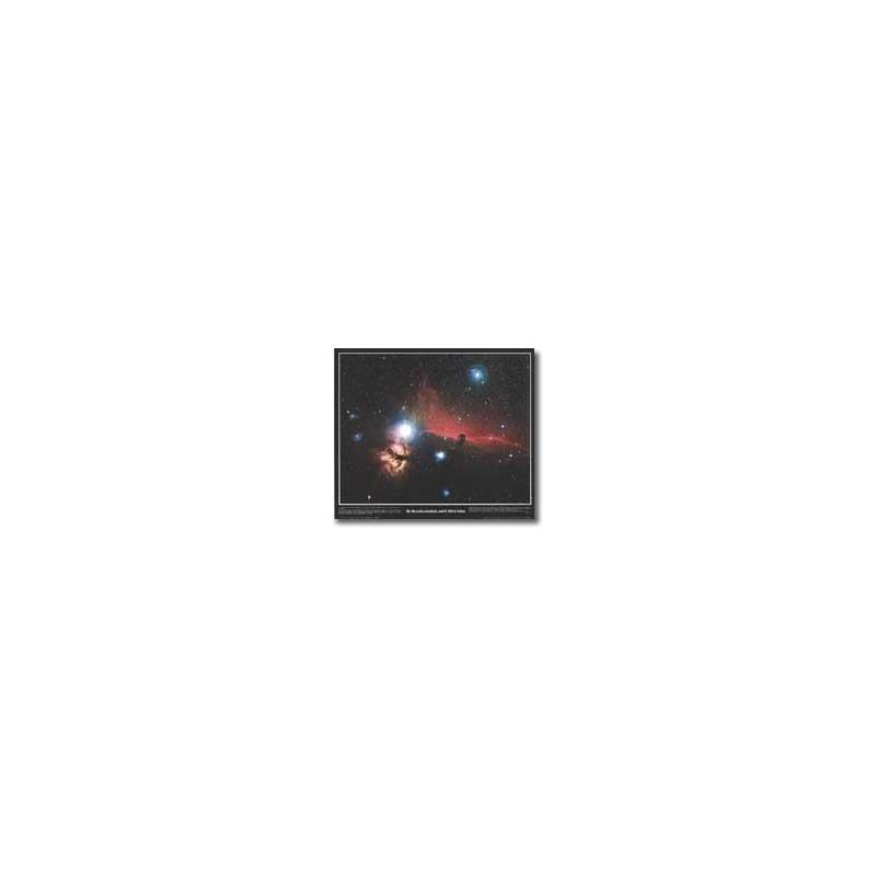Poster Horsehead Nebula
