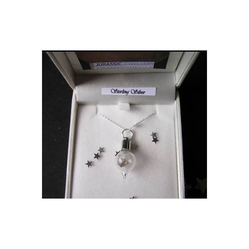 Jurassic Jewellery Meteorites Mars Dust Necklace (Teardrop)