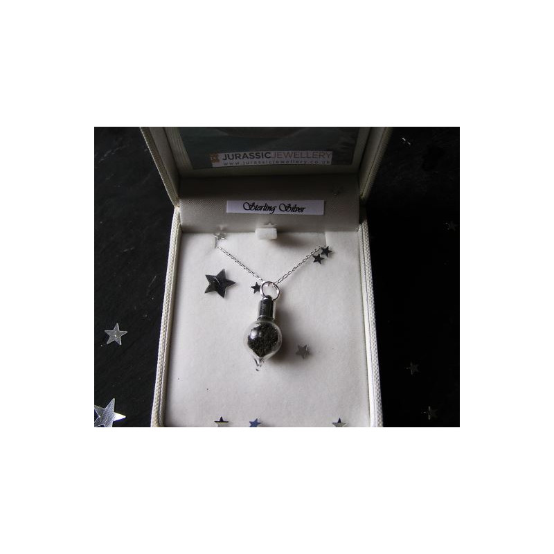 Jurassic Jewellery Meteorites Stardust Meteorite Vial Necklace (Teardrop)