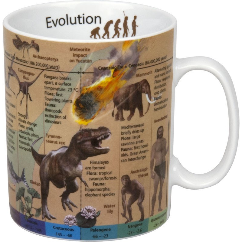 Könitz Cup Mugs of Knowledge Evolution (English)