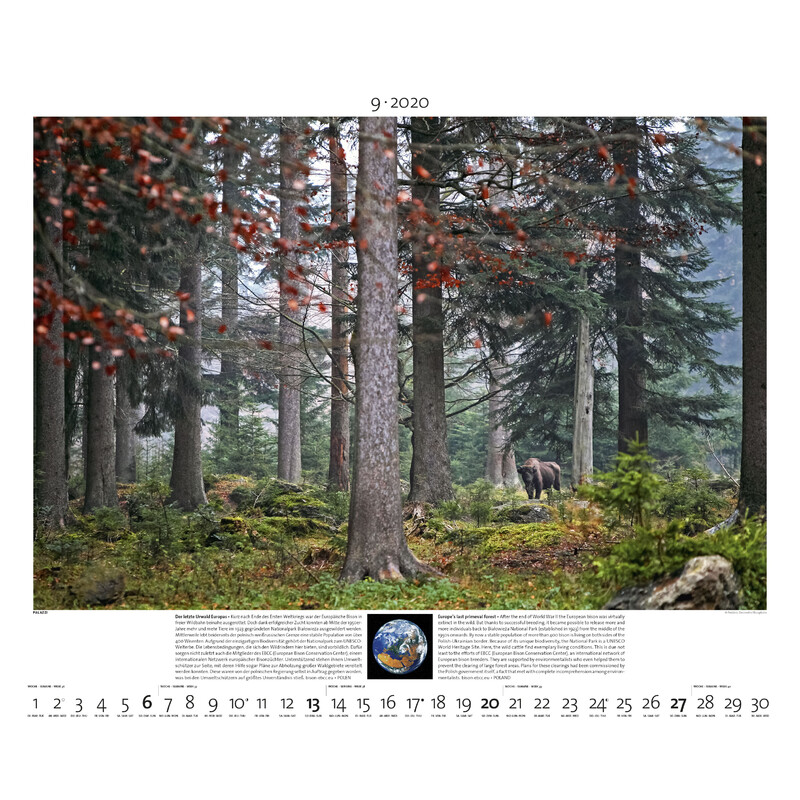 Palazzi Verlag Calendar Planet Erde 2020