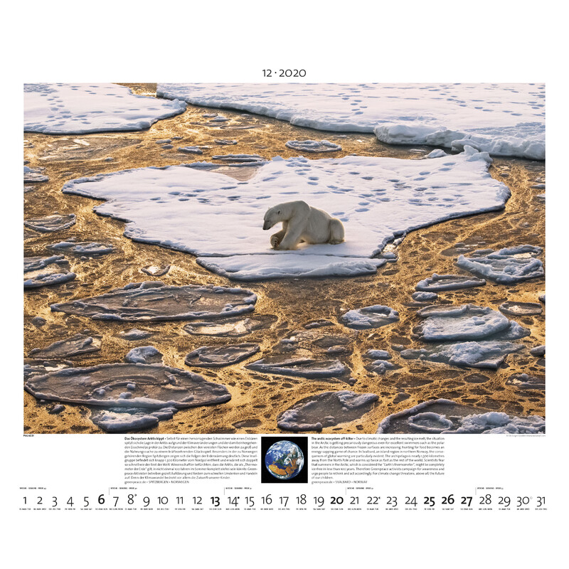 Palazzi Verlag Calendar Planet Erde 2020