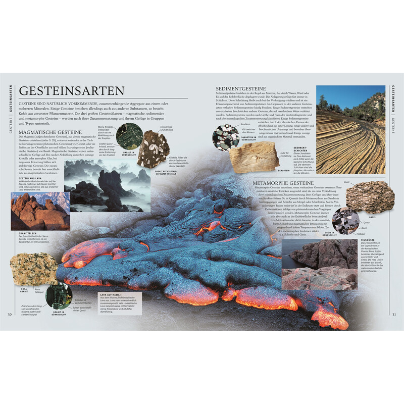 Dorling Kindersley Steiner & Mineralien
