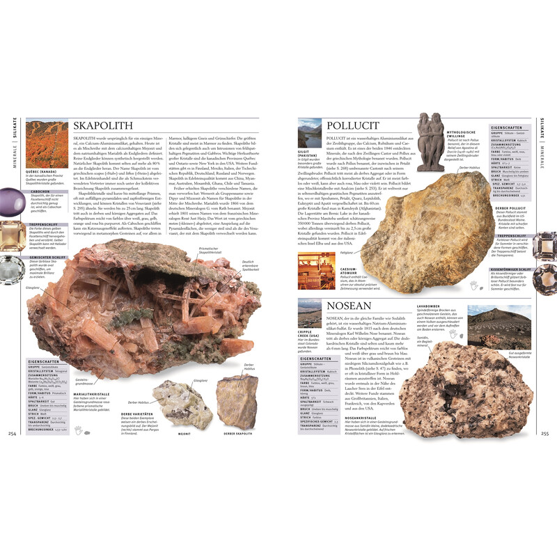 Dorling Kindersley Steiner & Mineralien
