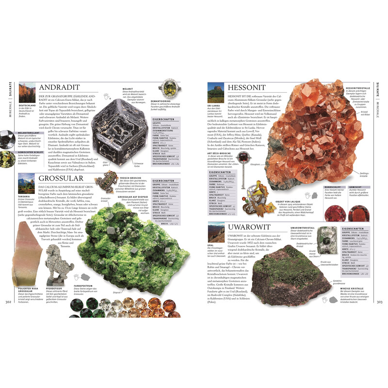 Dorling Kindersley Steiner & Mineralien