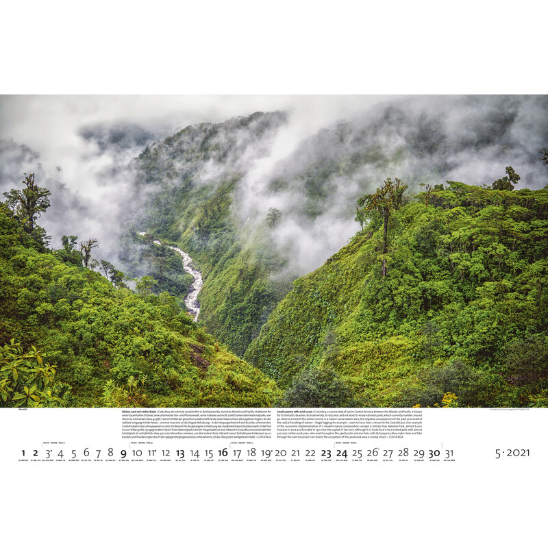 Palazzi Verlag Calendar Forests of the Earth 2021