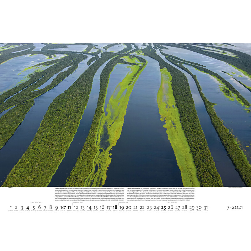 Palazzi Verlag Calendar Forests of the Earth 2021