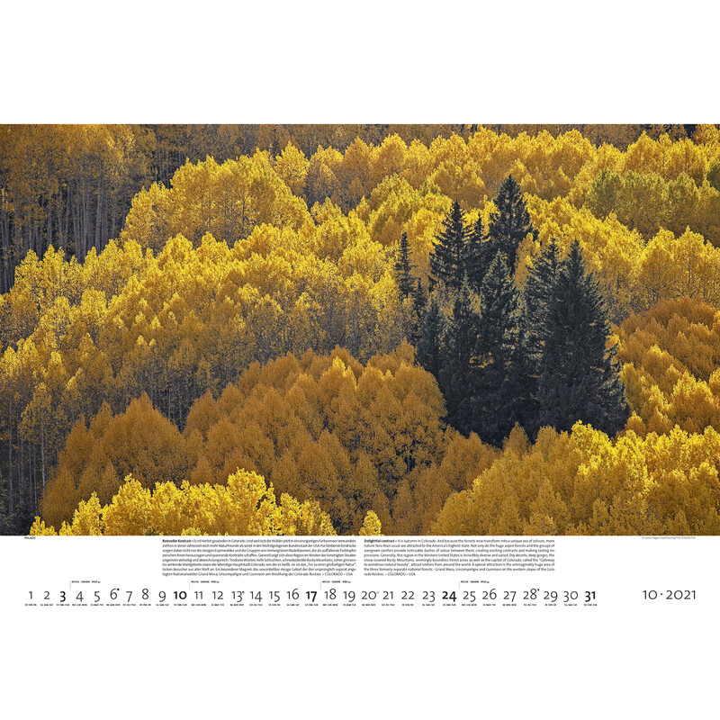 Palazzi Verlag Calendar Forests of the Earth 2021