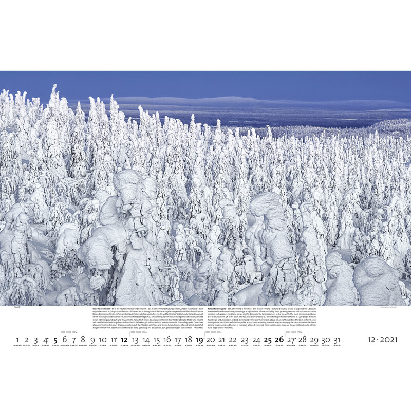 Palazzi Verlag Calendar Forests of the Earth 2021
