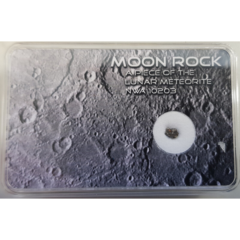 SR-Meteorites Meteorites Genuine Moon Meteorite NWA10203